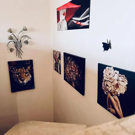 Casa Belvedere * アンツィオ